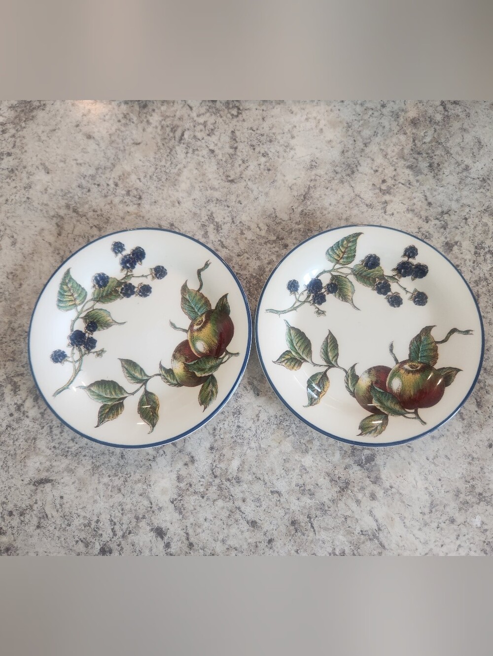 Set of 2 Pier One Angleterre Macintosh 8" salad plates